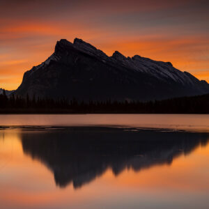 A New Day 8x10 Pre-matted