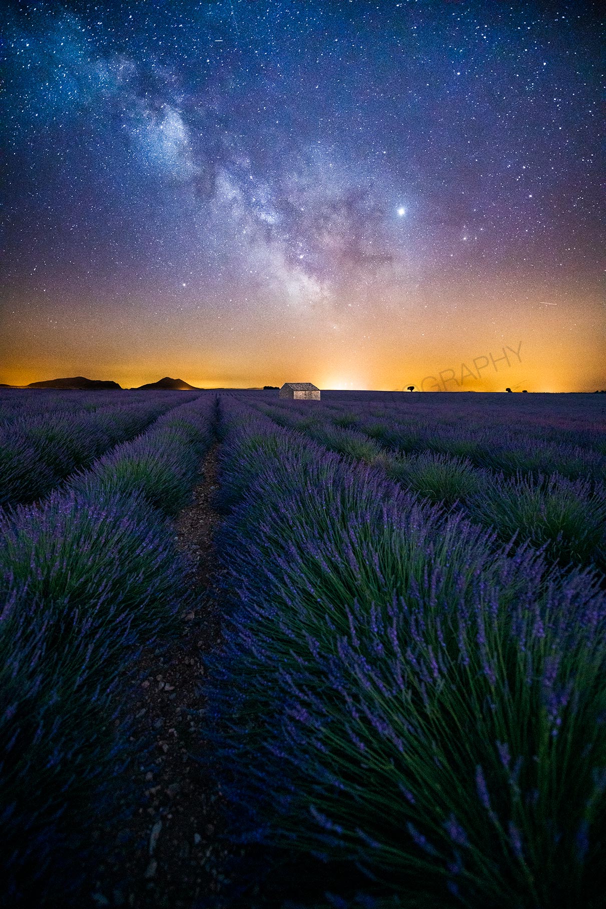 Galactic Lavender