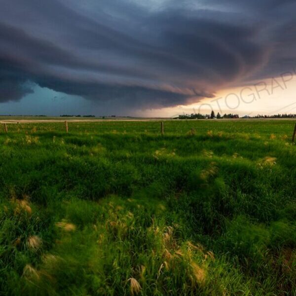 Mothership