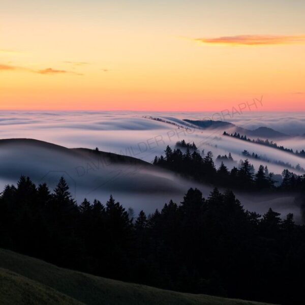Mystery Mountain