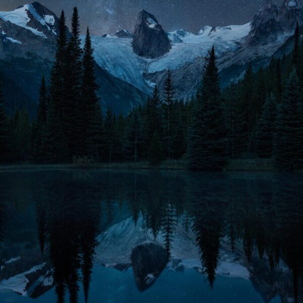 Nightly Howl