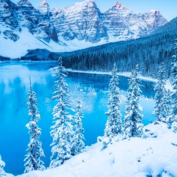 North Pole