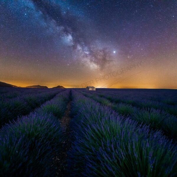 Purple Galaxy