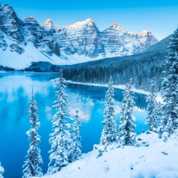 Snow Globe