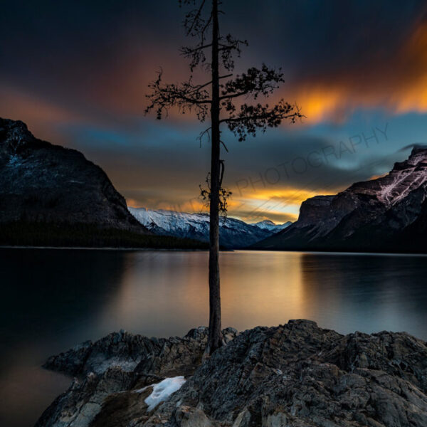 Stand Alone