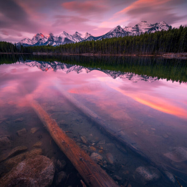 Sunken