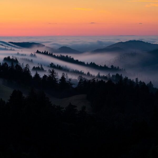 Sunset Mist