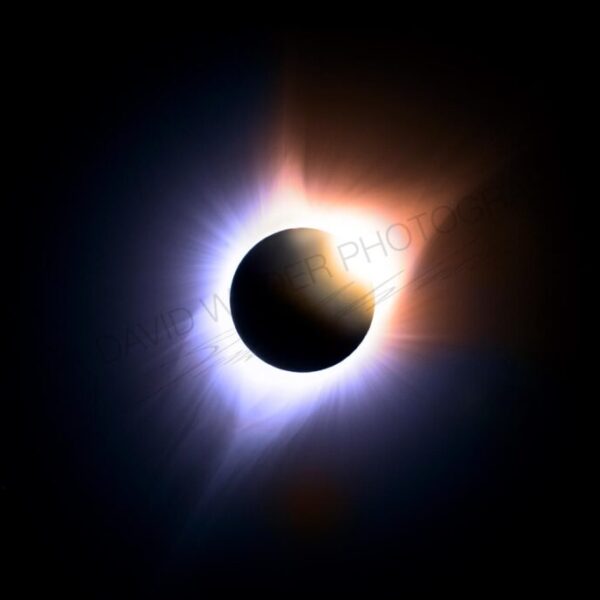 The Flare