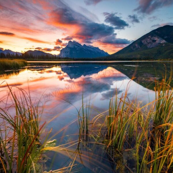 Vermilion Views