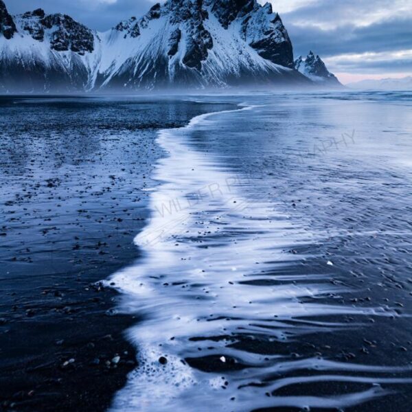 Winters Grasp