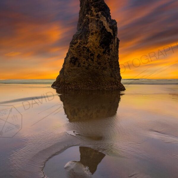 Wizards Hat