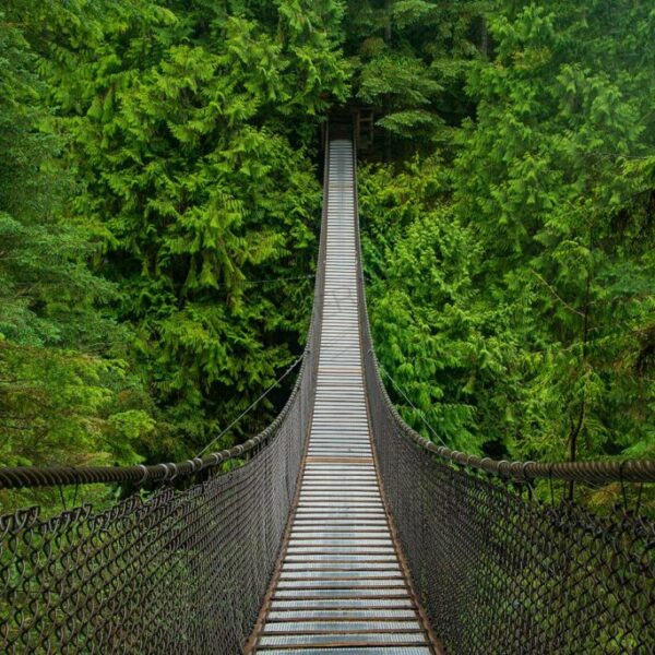 Lynnwood
