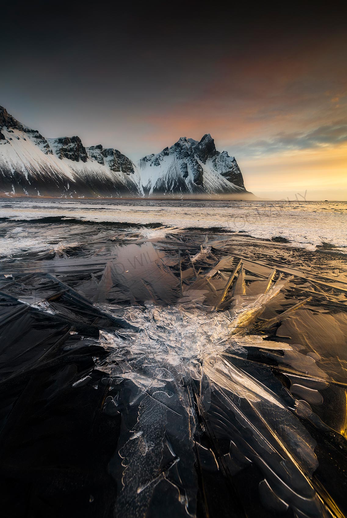 Frost Bloom
