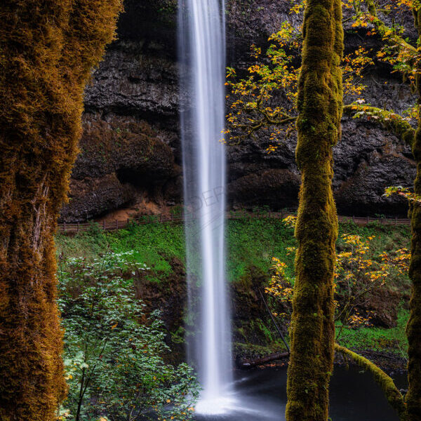 Silver Sliver