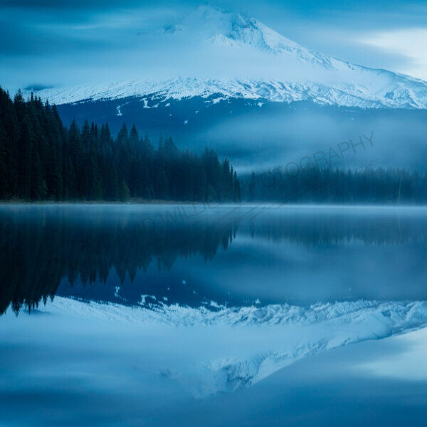 Shrouded