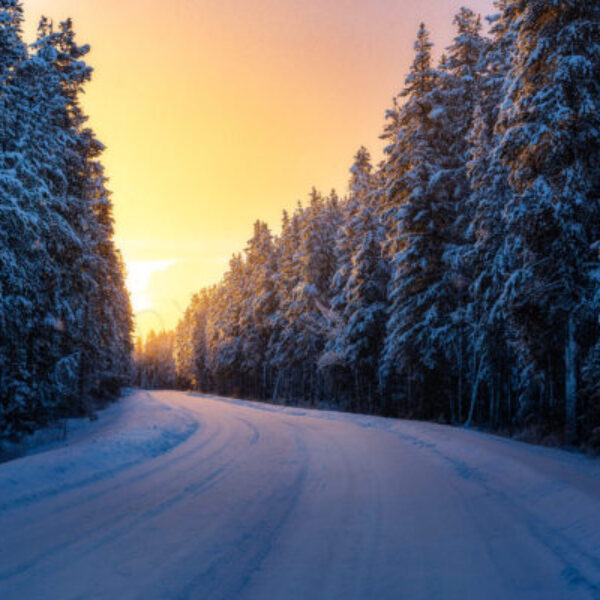 Winters Gates