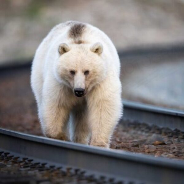 On track