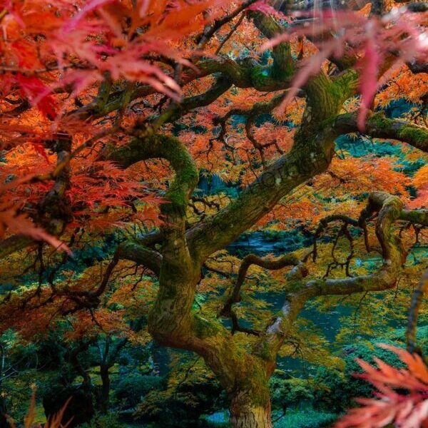 Whimsical Window