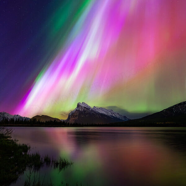Vermilion Lights