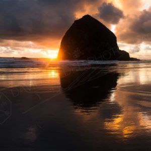 Golden Haystack 5x10 Prematted