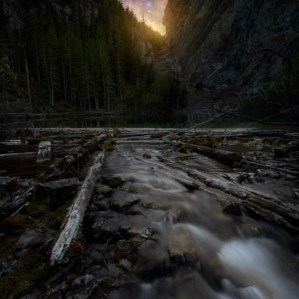 Grassi Galactic 5x10 Prematted