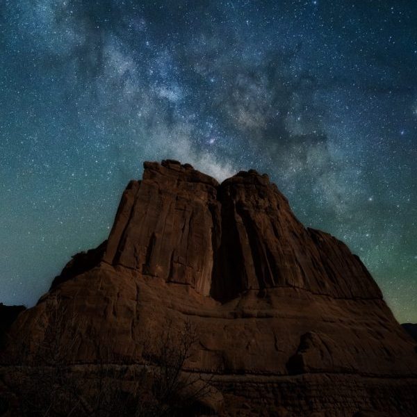 Park Ave Cosmos