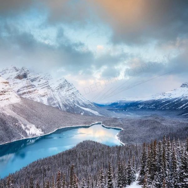 Winters Calling