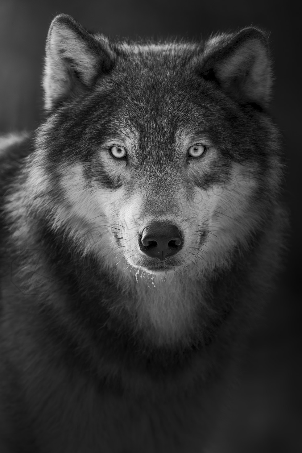 Glare