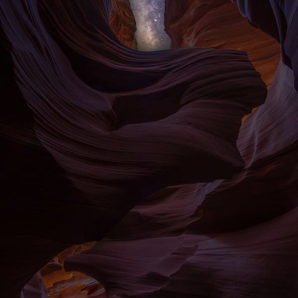 Antelope Stars