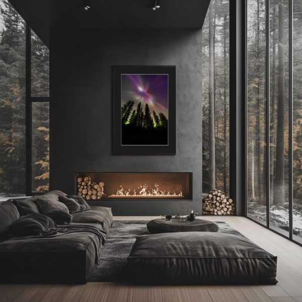 Aurora Forest