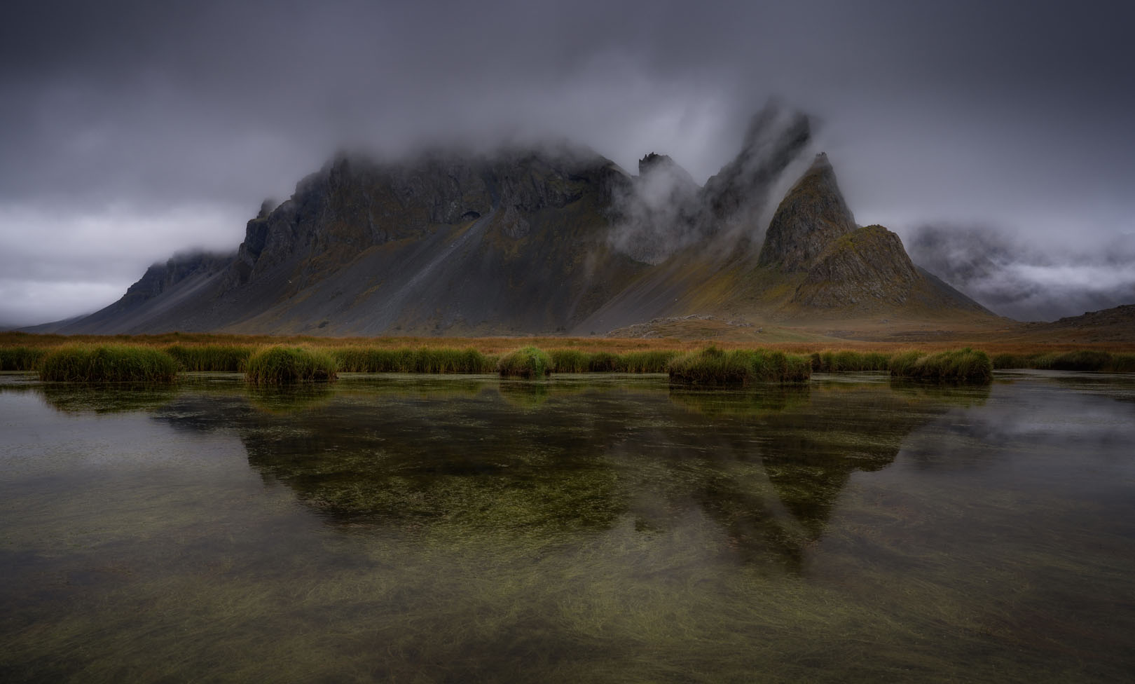 Austrahorn
