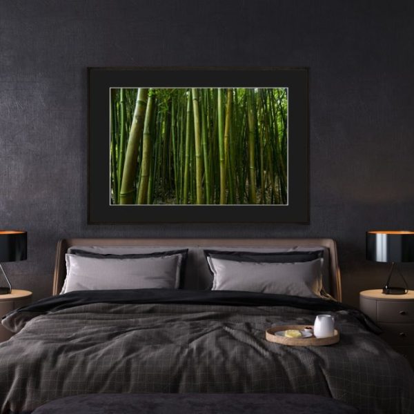 Bamboo Corridor
