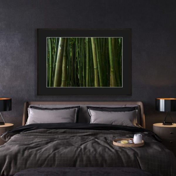 Bamboo Forest