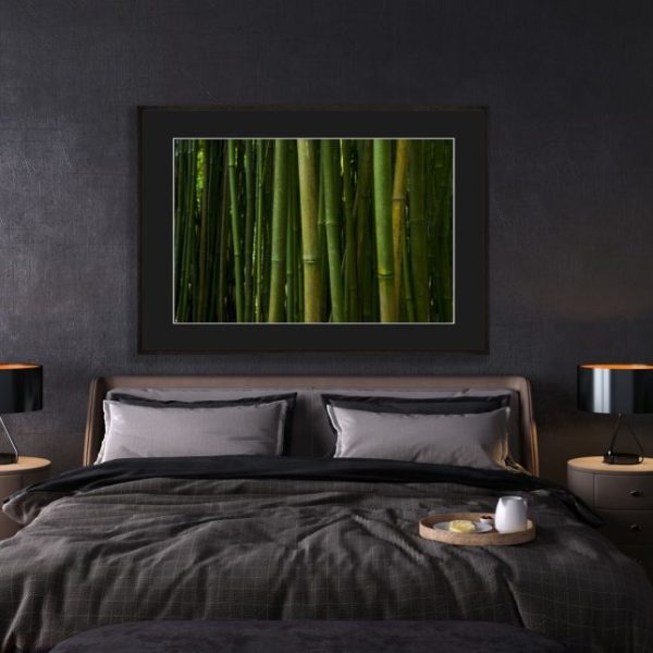 Bamboo