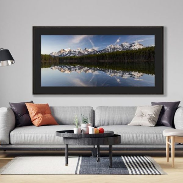 Calm Pines