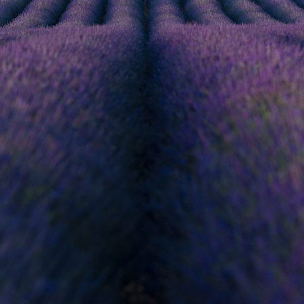 Purple Lead