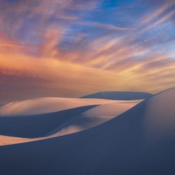 Desert Palette