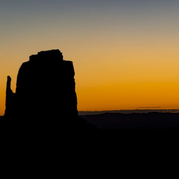 Desert Silhouette