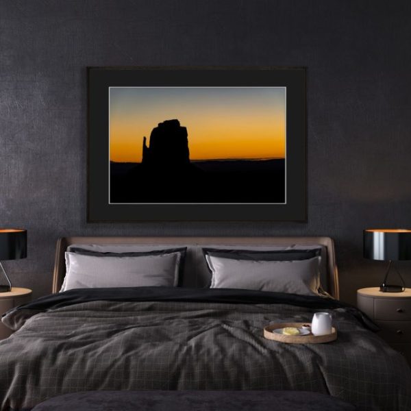 Desert Silhouette