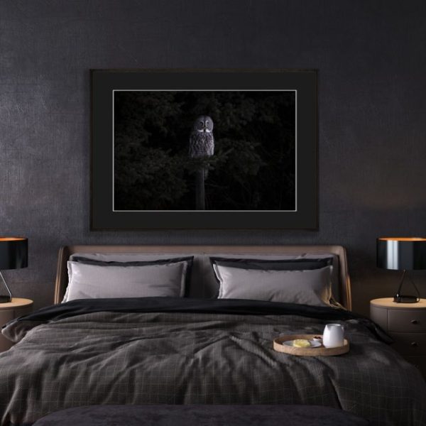 Enchanted Gray