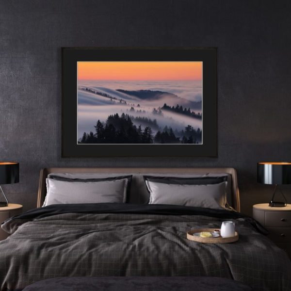 Fog Valley