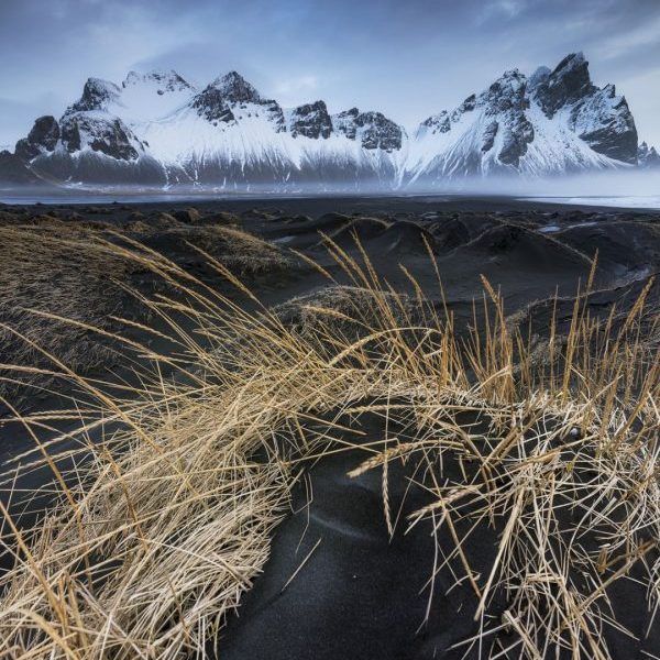 Frozen Silence