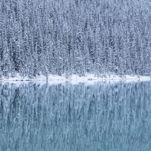 Frozen Teal