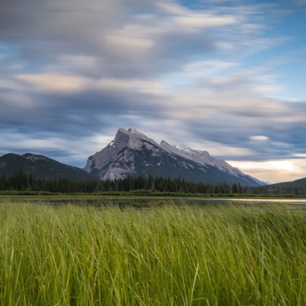 Golden Grass Lake
