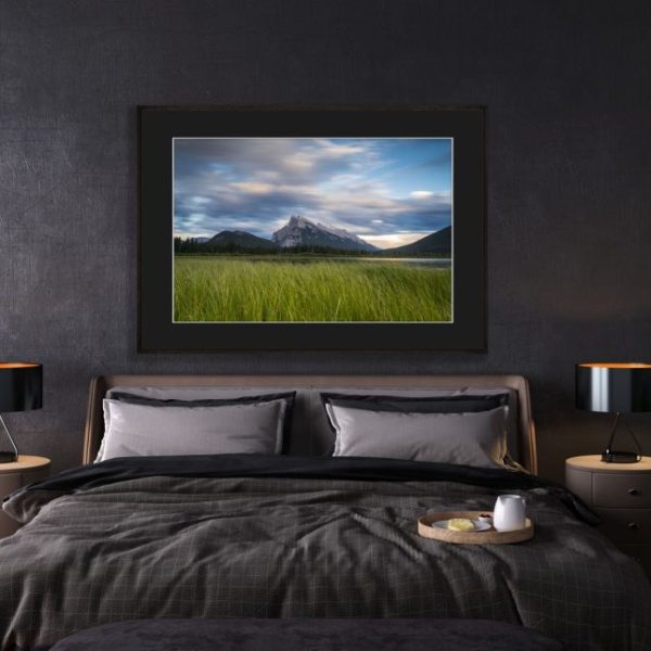Golden Grass Lake