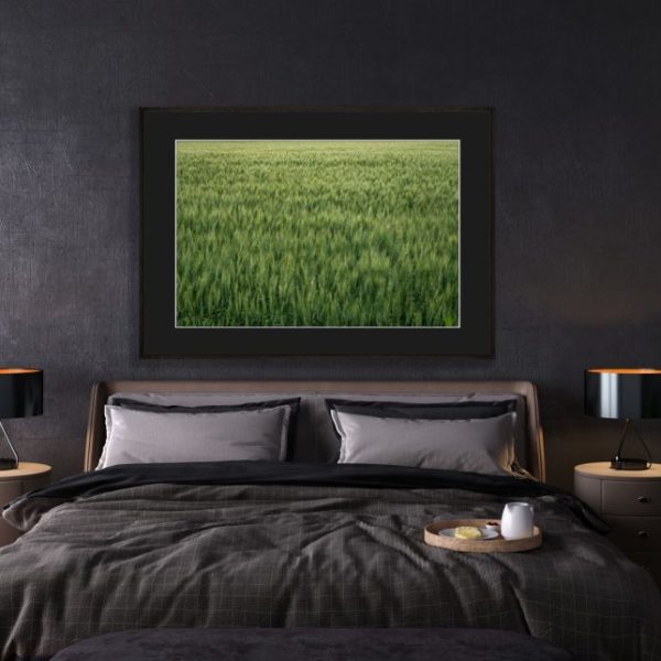 Windy Wheat