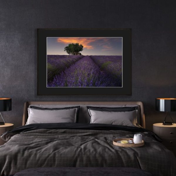Lavender House