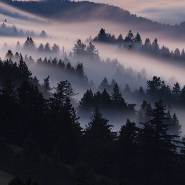 Misty Ridge
