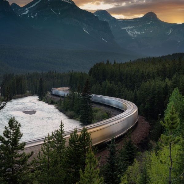 Morants Curve