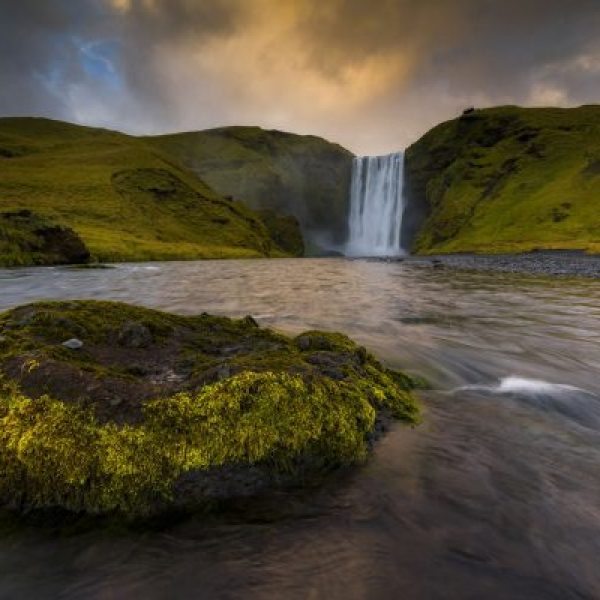 Moss and Thunder